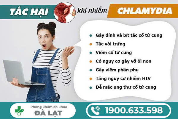 Hình ảnh minh họa